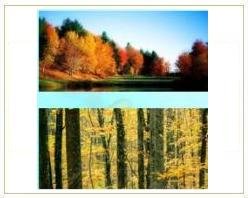 Slider image (3) AMRI Medical Centre